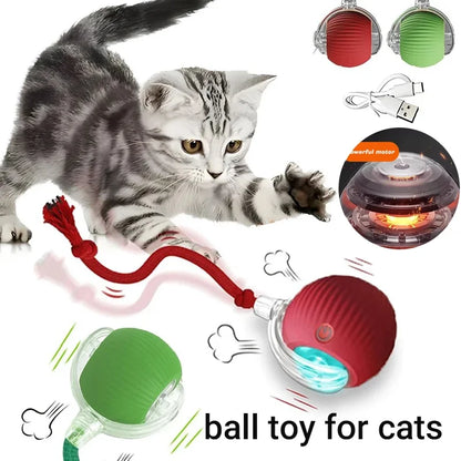 Feline Frenzy: The Purr-fectly Smart, Rechargeable Rolling Ball of Cat-tastic Shenanigans!