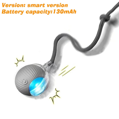 Feline Frenzy: The Purr-fectly Smart, Rechargeable Rolling Ball of Cat-tastic Shenanigans!