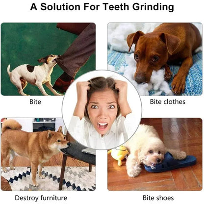 Dog Treat Feeder And Tooth Cleaning Ball