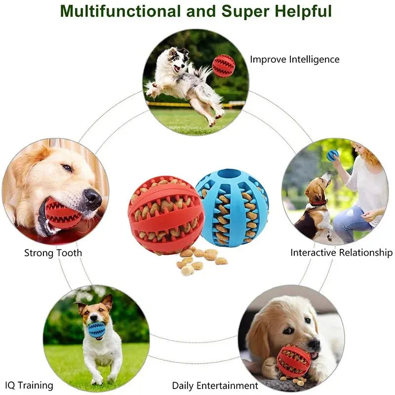 Dog Treat Feeder And Tooth Cleaning Ball