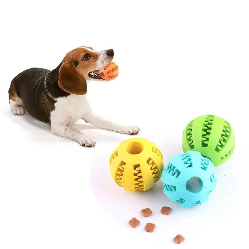 Dog Treat Feeder And Tooth Cleaning Ball
