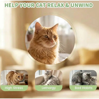 Purr-fectly Minty Cat Chew Sticks: The Feline Anti-Stress Cigarette Alternative!