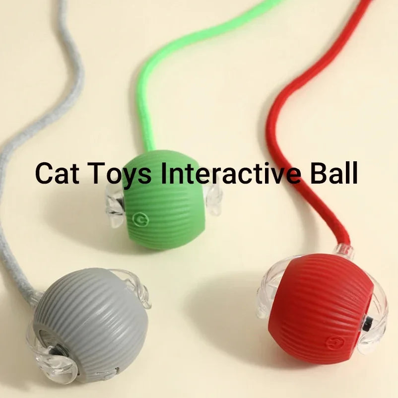 Feline Frenzy: The Purr-fectly Smart, Rechargeable Rolling Ball of Cat-tastic Shenanigans!