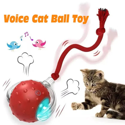 Feline Frenzy: The Purr-fectly Smart, Rechargeable Rolling Ball of Cat-tastic Shenanigans!