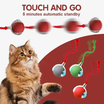 Feline Frenzy: The Purr-fectly Smart, Rechargeable Rolling Ball of Cat-tastic Shenanigans!